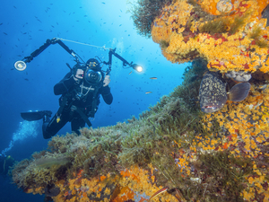 Quel matériel pour bien débuter la photo sous-marine ?