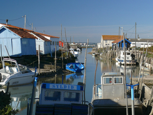 Plongée dans le patrimoine maritime d'Oléron