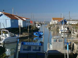 Plongée dans le patrimoine maritime d'Oléron