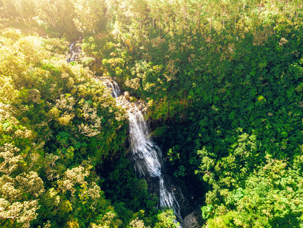 Alexandra Falls est une cascade qui se fond parmi les roches et les arbres des forêts tropicales de Maurice. 