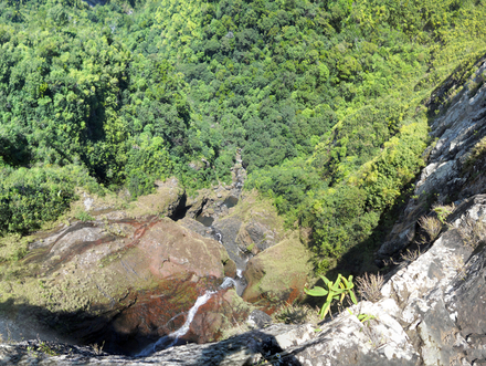  En haut du Piton de la Rivière Noire, vous pourrez contempler son étendue au cours de diverses randonnées en plein coeur de la nature luxuriante. 