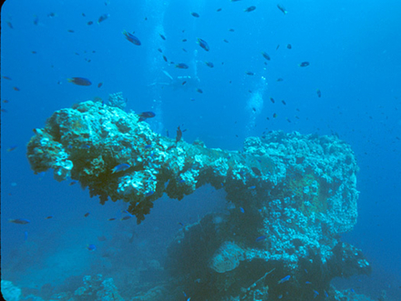 Nautisme Article