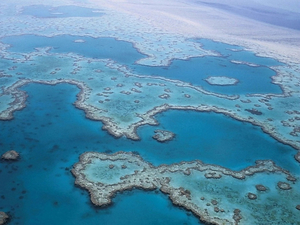 Australie : le phénomène El Nino menace la Grande barrière de corail