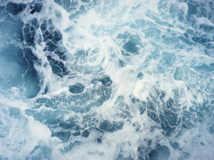  Près de 70 pays au baptême du traité pour protéger la haute mer