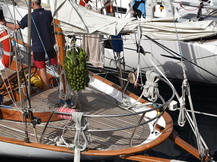 Nautisme Article