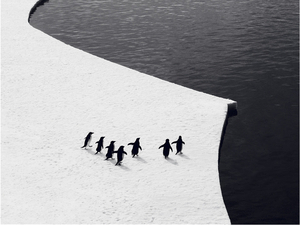 L'organisme de conservation de l'océan Antarctique sous pression pour être à la hauteur de son nom