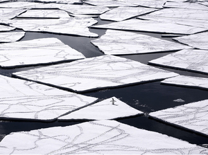 Conservation de l'Antarctique : des avancées limitées face à des problèmes monumentaux