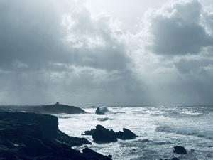 Quand le réchauffement climatique bloque la flotte de la Transat Jacques Vabre à quai
