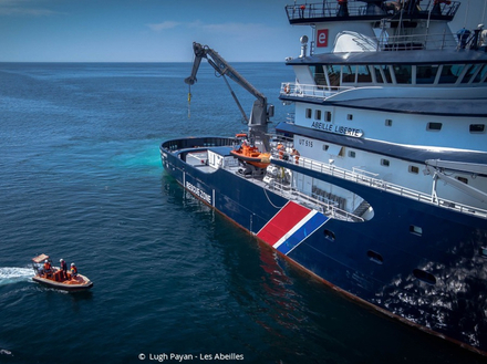 l'Abeille Liberté  l'Abeille Liberté