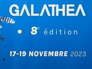8e édition du Festival Galathea à Hyères du 17 au 19 novembre