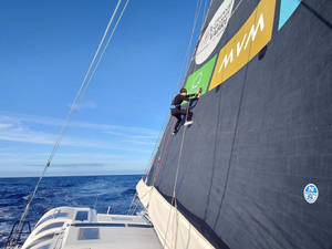 Transat Jacques Vabre 2023 : petits ou grands écarts, quatre flottes au sommet de l'art 