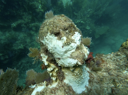 Christ Of The Abyss Nautisme Article