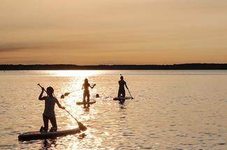 Balade en paddle : direction la Normandie pour 4 spots de rêve !
