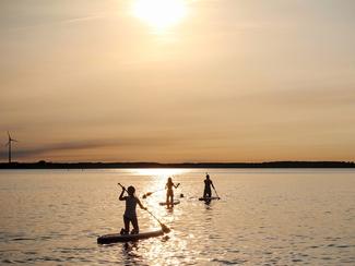 Balade en paddle : direction la Normandie pour...