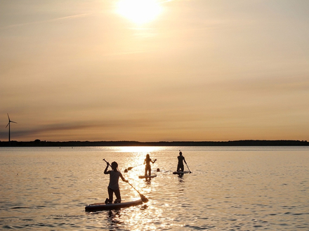 Le paddle en Normandie, meme l'hiver c'est possible avec une bonne combinaison ! Le paddle en Normandie, meme l'hiver c'est possible avec une bonne combinaison !