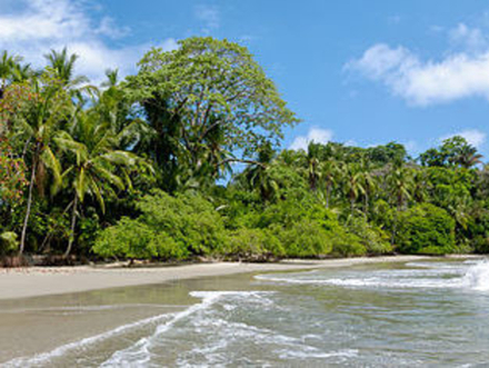 Plage Manuel Antonio Nautisme Article
