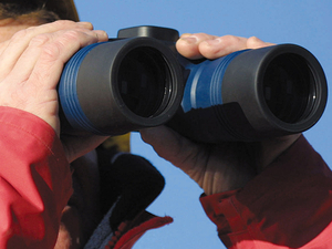 Les jumelles, incontournables à bord