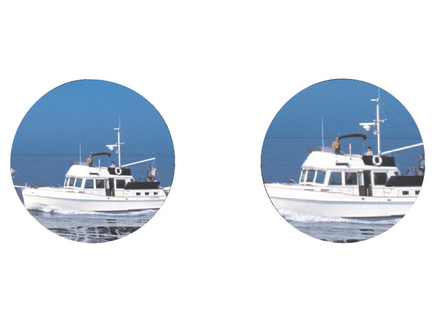 Grossissement 7 et 10