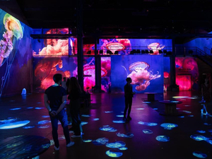 Vacances de Noël à Paris : le plein d'activités pour retrouver la mer en ville !