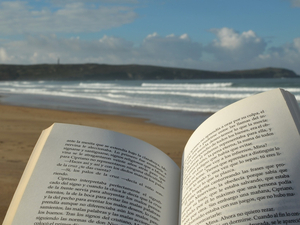 Idées cadeaux de Noël : offrir l'océan à travers des livres !