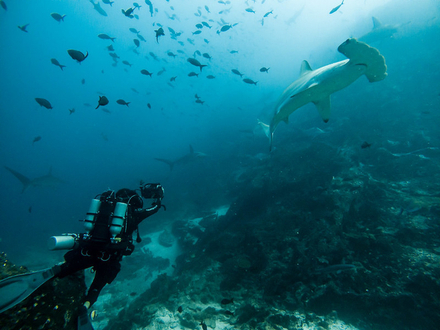 Nautisme Article