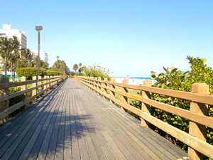 Partons découvrir les plus belles plages de Floride !