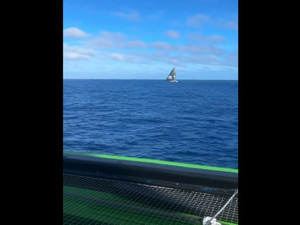 Vidéo : chassé-croisé entre Thomas Coville et Charles Caudrelier au nord de Madère