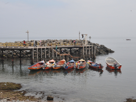 Partons pêcher au Chili !