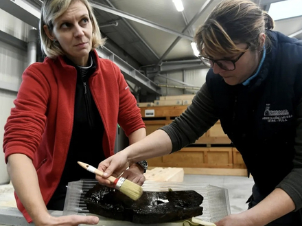 Chaque partie du bateau sera restaurée et consolidée avant d'être rendu à la Croatie.  Chaque partie du bateau sera restaurée et consolidée avant d'être rendu à la Croatie.