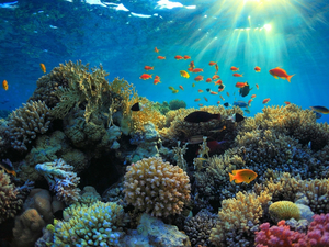 Top 5 des comptes Instagram évasion à suivre en 2024 !