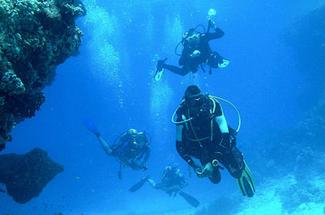 Île Maurice : épaves, failles, tombants... Partons plonger !