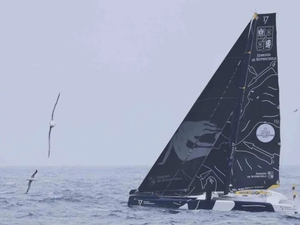 ARKEA ULTIM CHALLENGE : histoires d'albatros