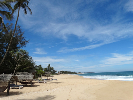Plage de Marakolliya au Sri Lanka 