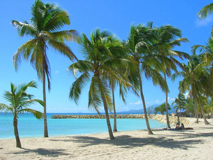 Plage Sainte-Anne en Guadeloupe 