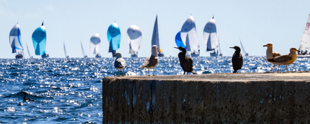 Snim, du 29 mars au 1er avril