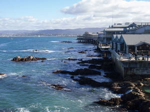 Escapade dans la Baie de Monterey : découverte d'un trésor de la côte californienne