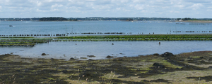 Morbihan: ouverture d'un centre pour découvrir l'huître et l'ostréiculture