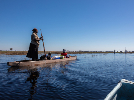 Traversée du delta de l'Okavango en mokoro