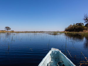 Le delta de l'Okavango, un safari en bateau plein de surprises !