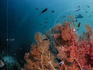 A l'occasion de ses 45 ans, TBS s'engage pour les océans avec la campagne Witnesseas