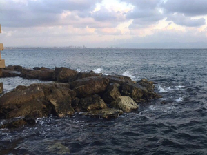 Aux Pays-Bas, un chimiquier hisse les voiles contre la pollution