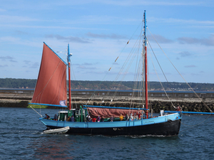 A Brest, une fresque marine en LEGO bientôt dans le Guinness World records ? 