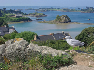 Week-end prolongé à Bréhat et sa région pendant les ponts de mai !