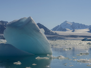 Arctique : des décisions radicales face au réchauffement climatique 
