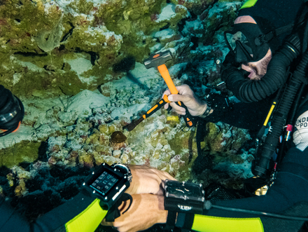 Record Gambier - Under The Pole Record Gambier - Under The Pole