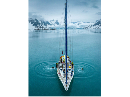 Why polaire - Under The Pole Why polaire - Under The Pole