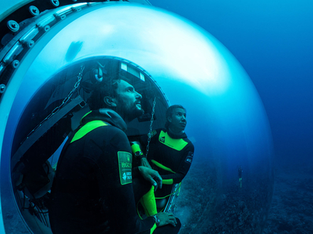 Capsule - Under The Pole 