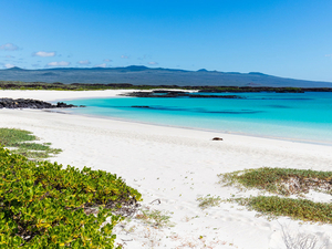 Les îles Galápagos cherchent à préserver leur paradis à tout prix