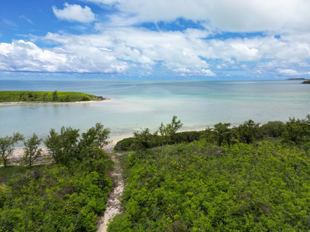 L'île aux Chats L'île aux Chats
