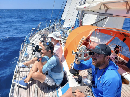 Tous les équipages profitent de ces journées creuses pour apprendre la navigation céleste. Nautisme Article